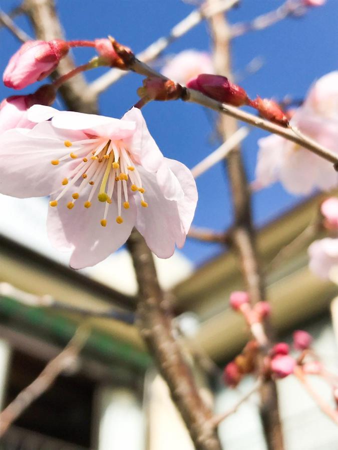Guesthouse Nishihara Atami  Luaran gambar